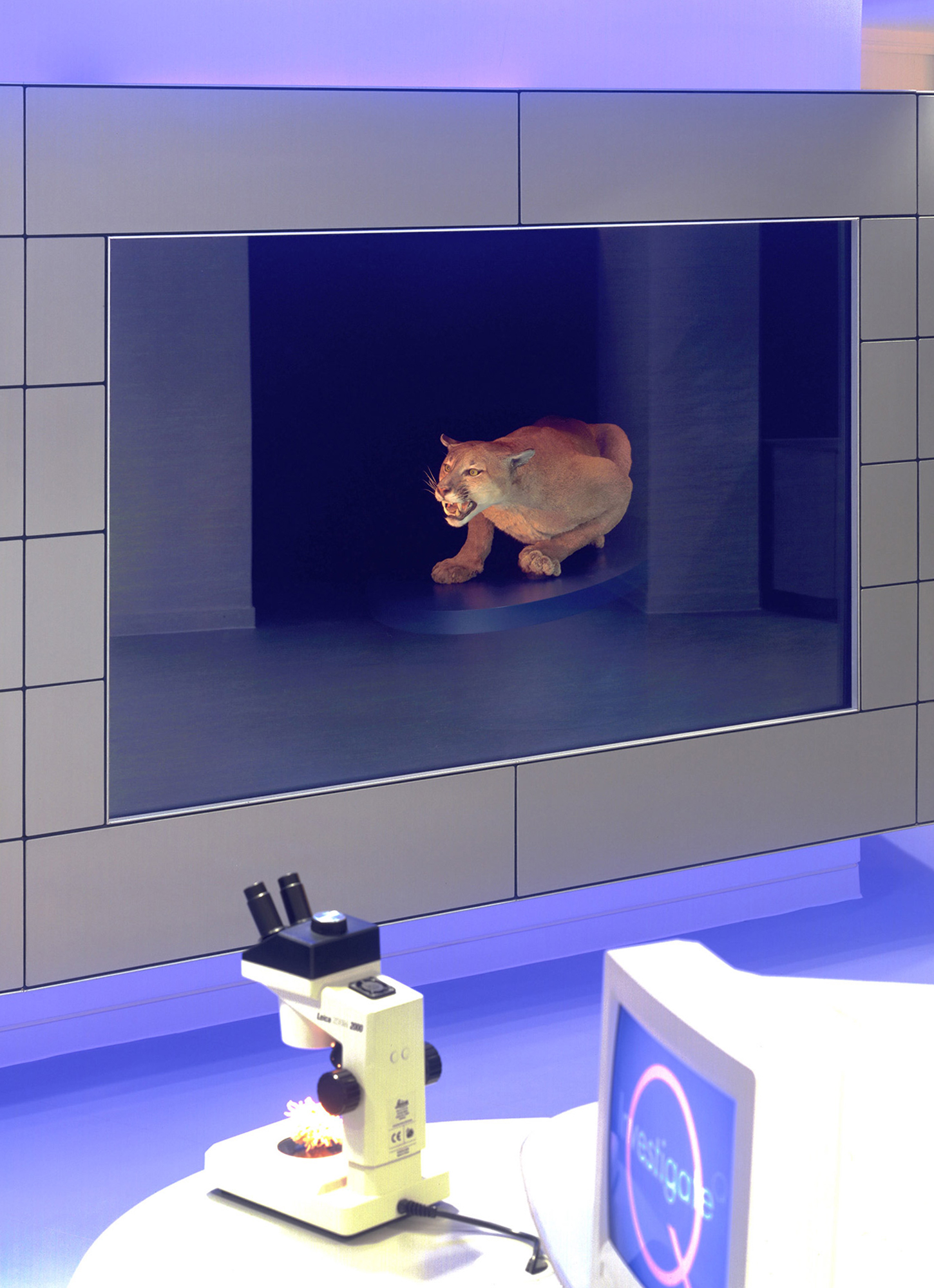 Investigate Gallery